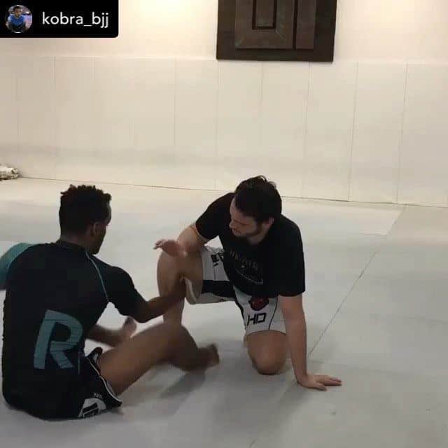 @kobra_bjj
 RDLR Shin to Shin Ashi Garami  ToeHold Grip  Hip Switch/Dig Fin