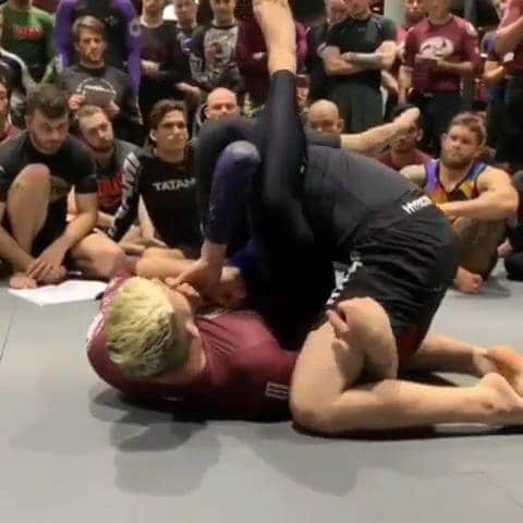 Gordon Ryan - Arm Bar