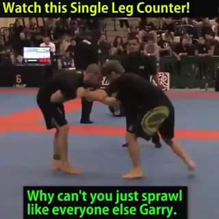 Garry Tonon - RNC from Single Leg Counter