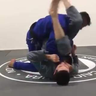 Caio Terra - Double under counters