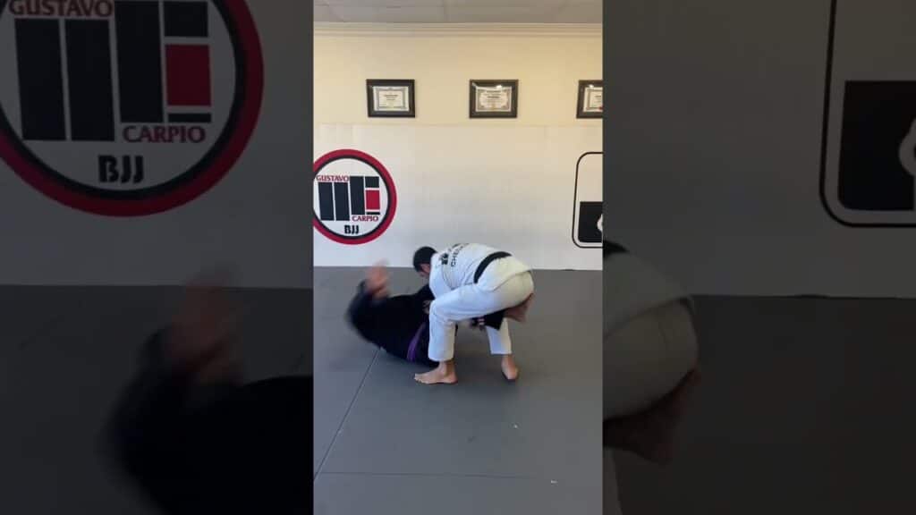 Armdrag/Single Leg to Folding Pass