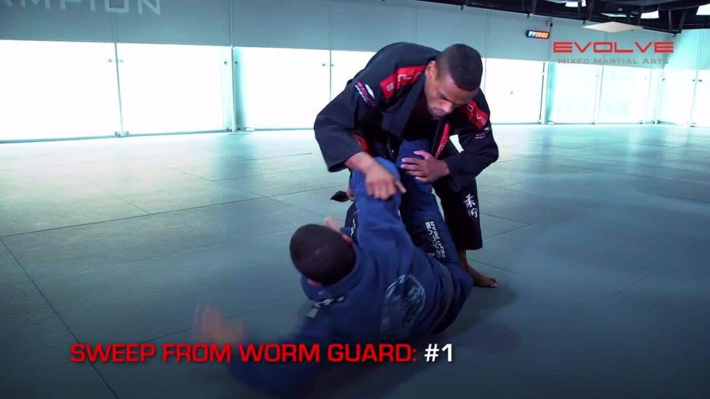 5 Sweeps from Worm Guard