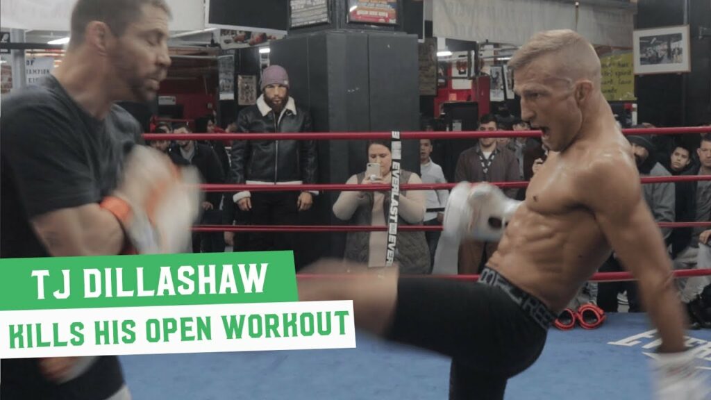 A shredded TJ Dillashaw shows no signs of energy loss with weight cut