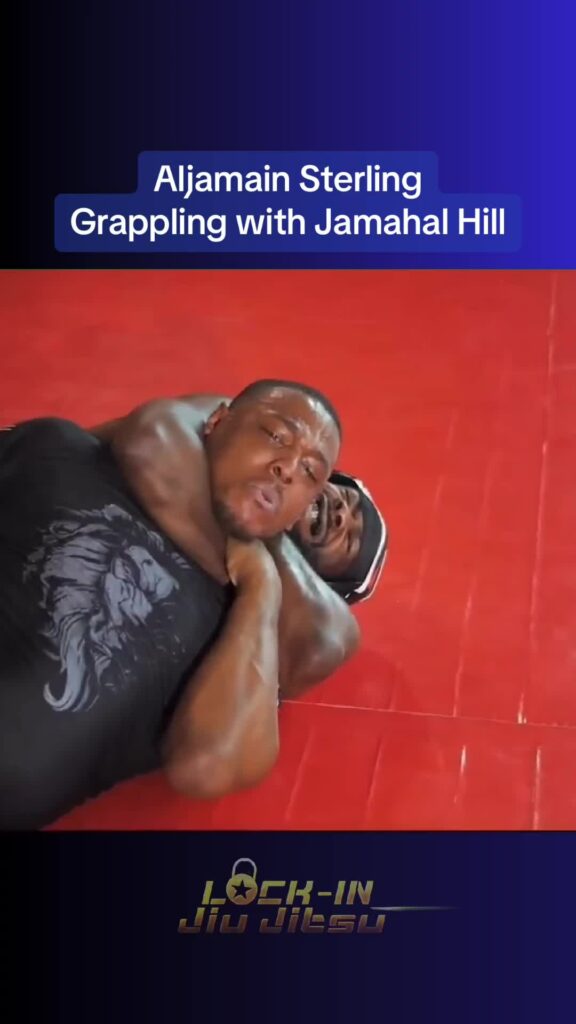 Aljamain Sterling Grappling Jamahal Hill Ahead of his Main Event Fight at UFC 3