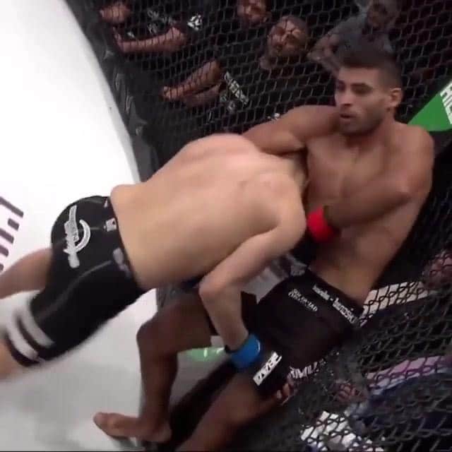 Another Brutal Guillotine