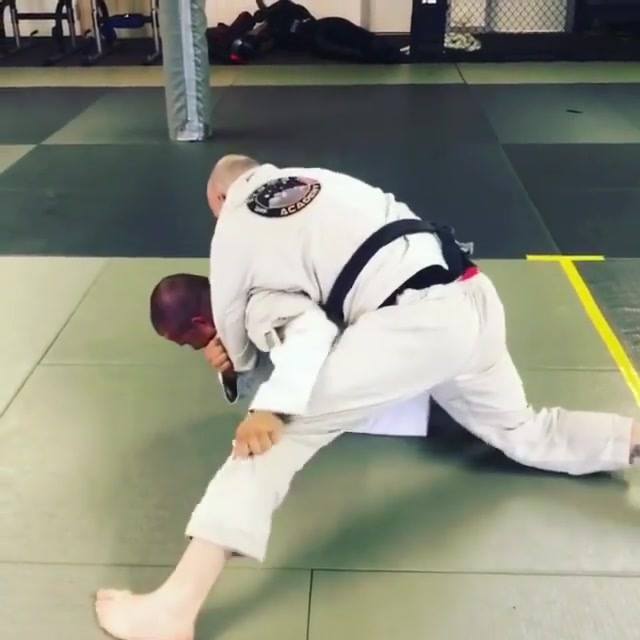 Awesome reversal from turtle position.
Turtle guard sweep