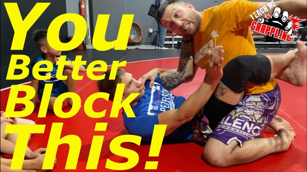 BASIC BJJ Punch Block Defense!