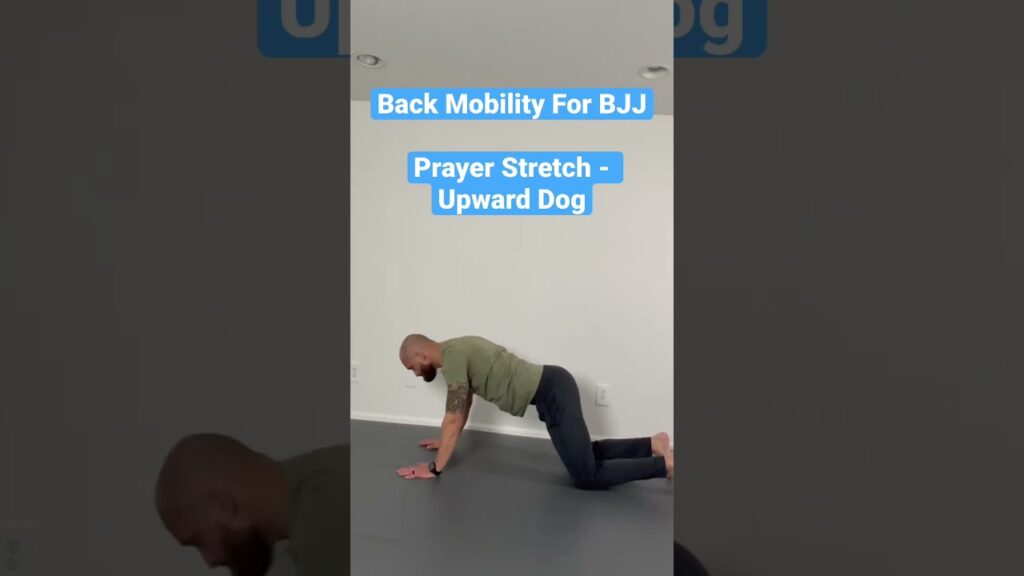 Back Mobility For BJJ - Prayer Stretch - Upward Dog #shorts