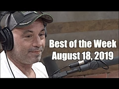 Best of the Week - August 18, 2019 - Joe Rogan Experience