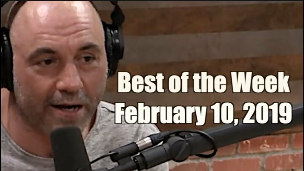 Best of the Week - February 10, 2019 - Joe Rogan Experience