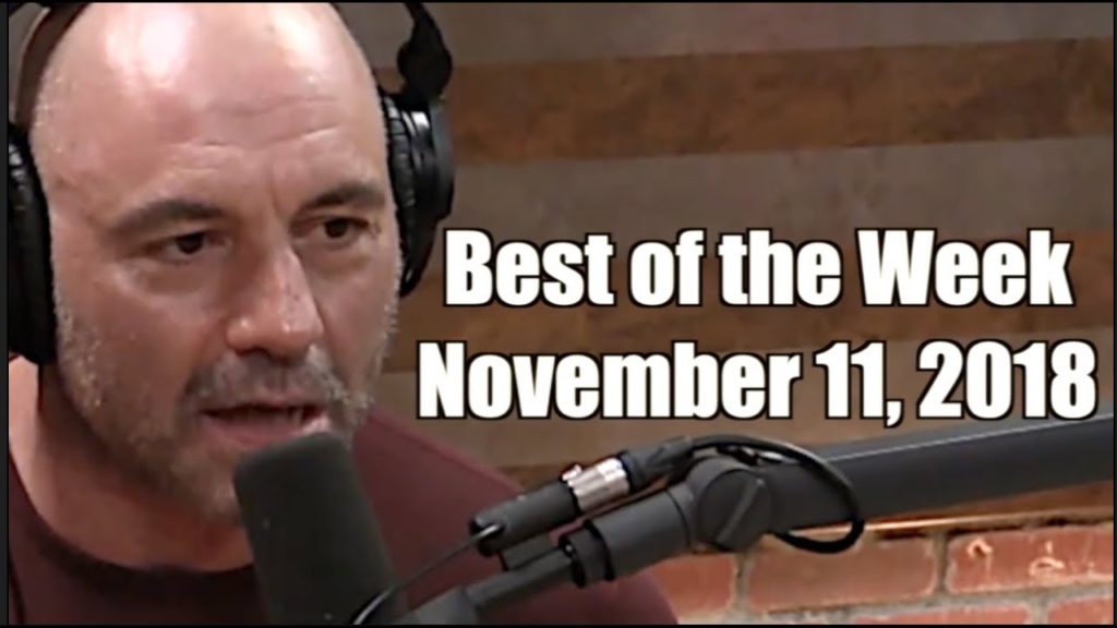 Best of the Week - November 11, 2018 - Joe Rogan Experience