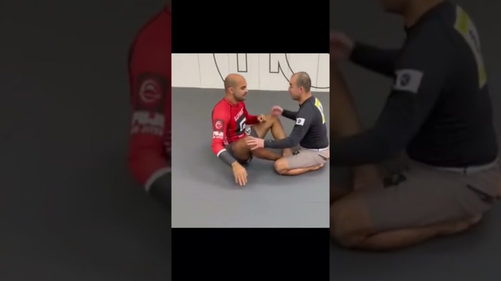 Butterfly Guard Pass By MARCELO GARCIA