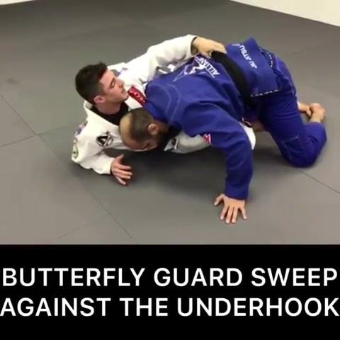 Butterfly Guard Sweep Against the Underhook