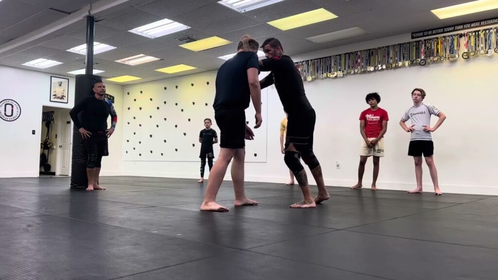 Collar Tie, Underhook, Single Leg