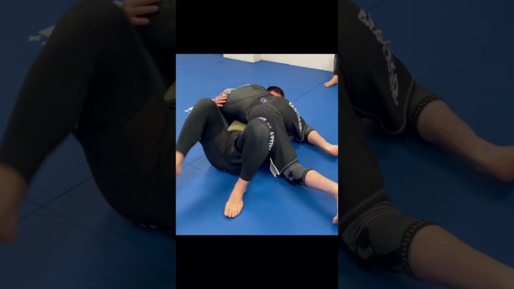 Control of the Head and an Arm by John Danaher