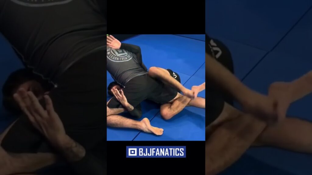 Coyote Half Guard Sweep by LUCAS LEITE