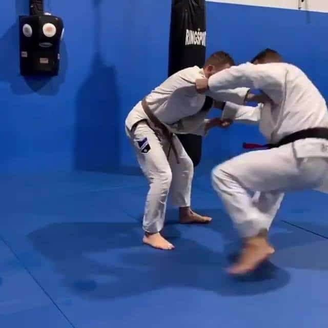 DLR Sweep to Armlock by @williamsdiasjj