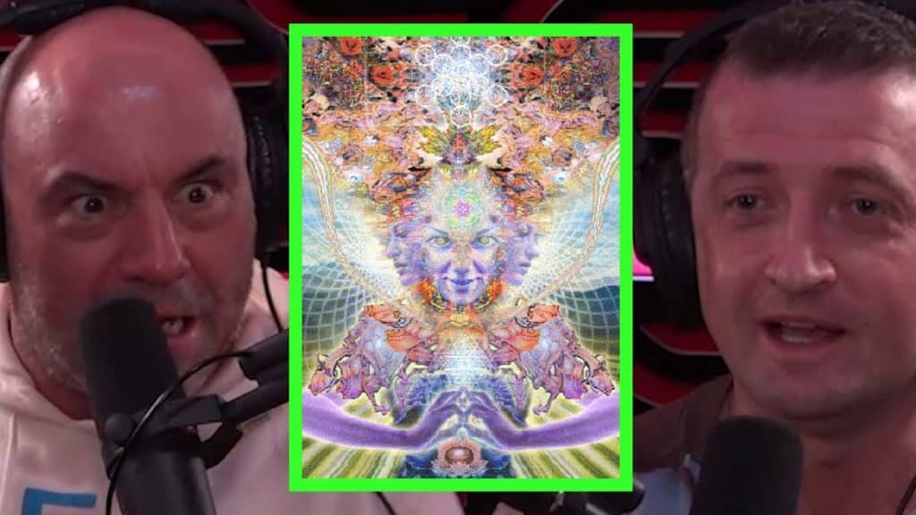 Does Joe Rogan Think the DMT Elves Are Real?