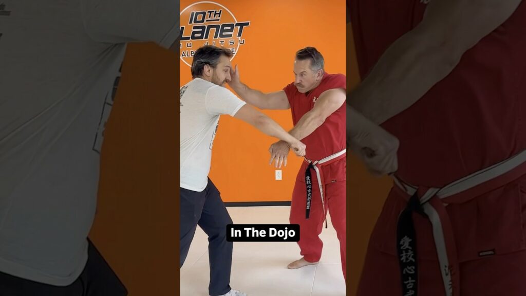 Dojo vs Street: Knife Defense #masterken #ameridote