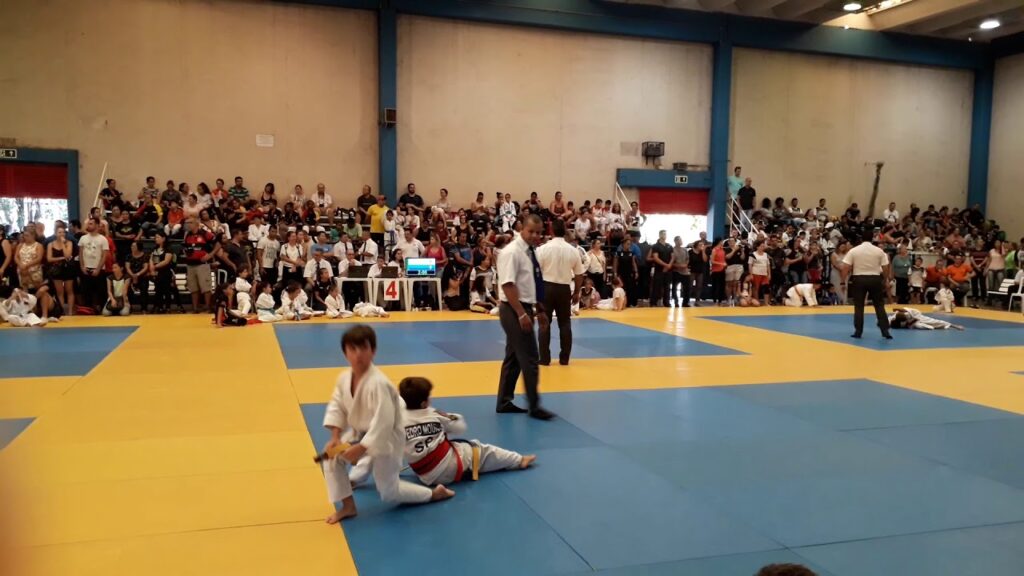 Filho do Feu bjj lutando