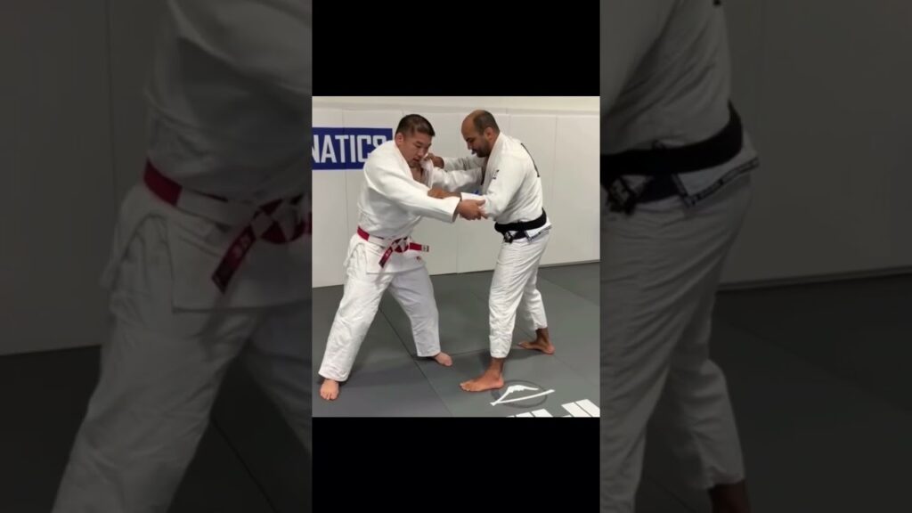 From Ouchi Gari to Tai Otoshi by Satoshi Ishii