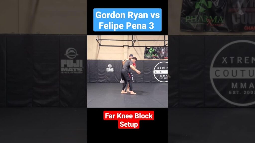 Gordon Ryan vs Felipe Pena 3 - Far Knee Block Setup