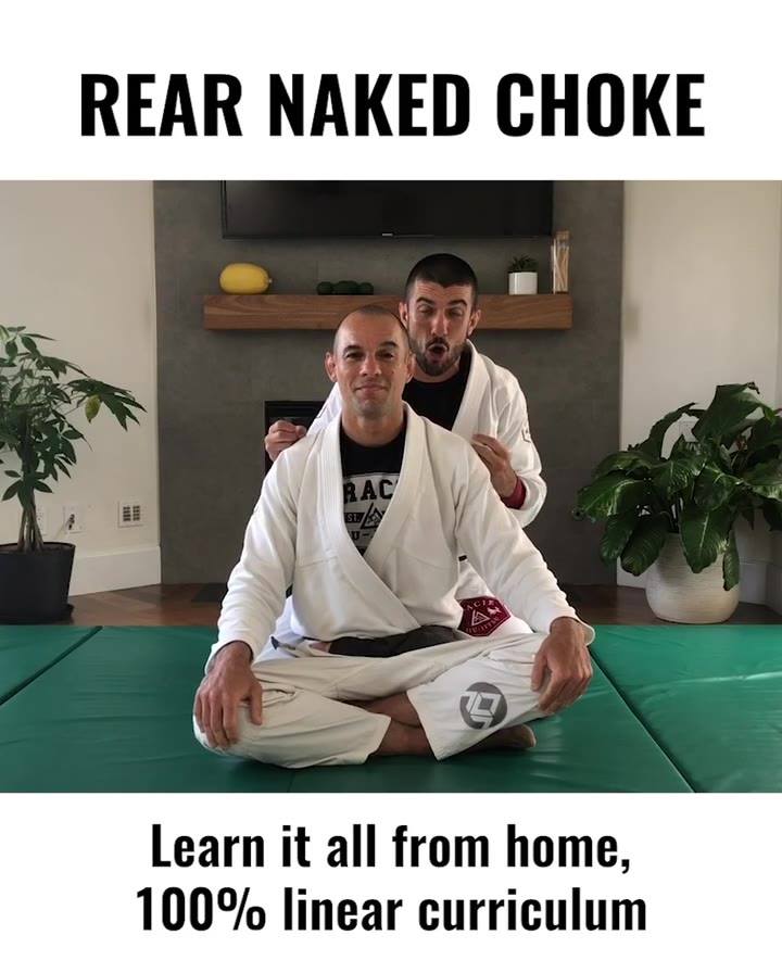 Great offer from Gracie Brothers.
GracieUniversity.com/JiuJitsuLegacy