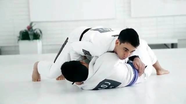 Gui Mendes - Underhook Counters