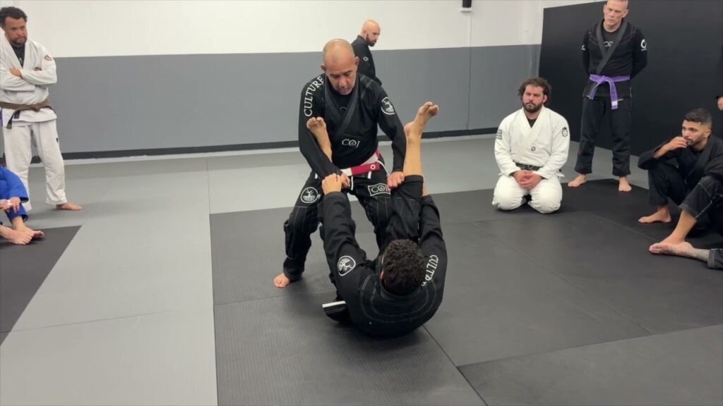 How to Pass the Spider Guard - Master Julio Cesar Pereira