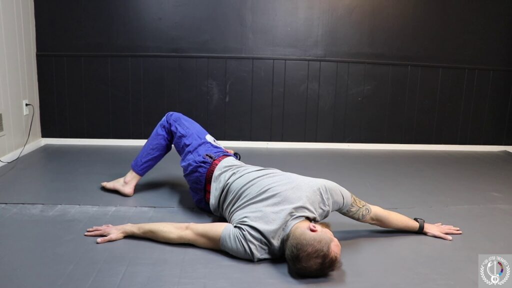 Increase Back and Hip Mobility To Decrease Risk Of Back Injury In BJJ