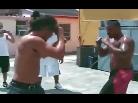 JUMENTOS QUE RESOLVERAM LUTAR CONTRA PROFISSIONAIS DE MMA