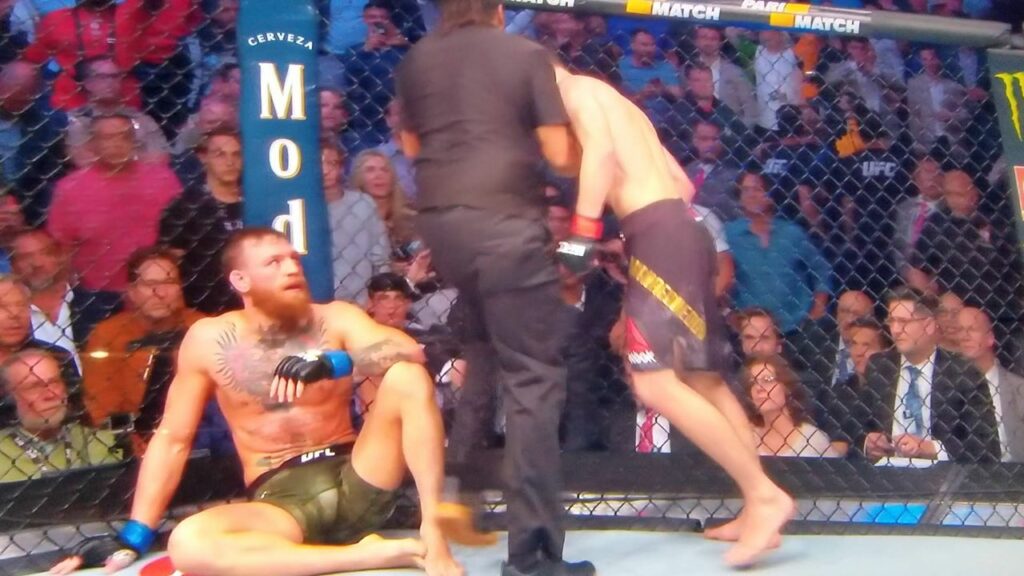 Khabib vs McGregor Finish