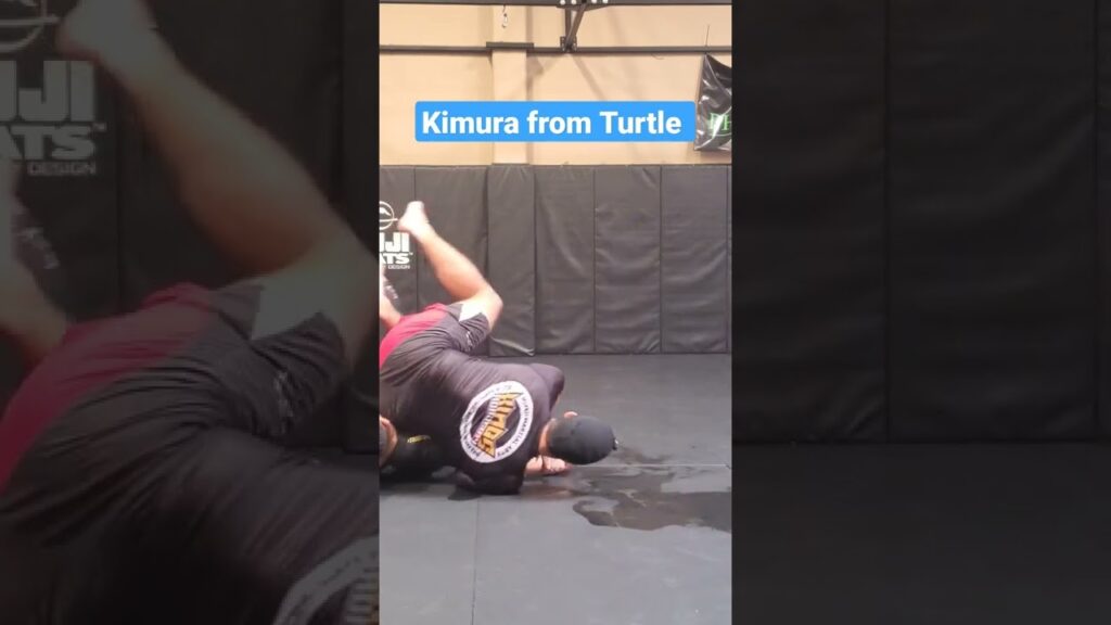 Kimura from Turtle