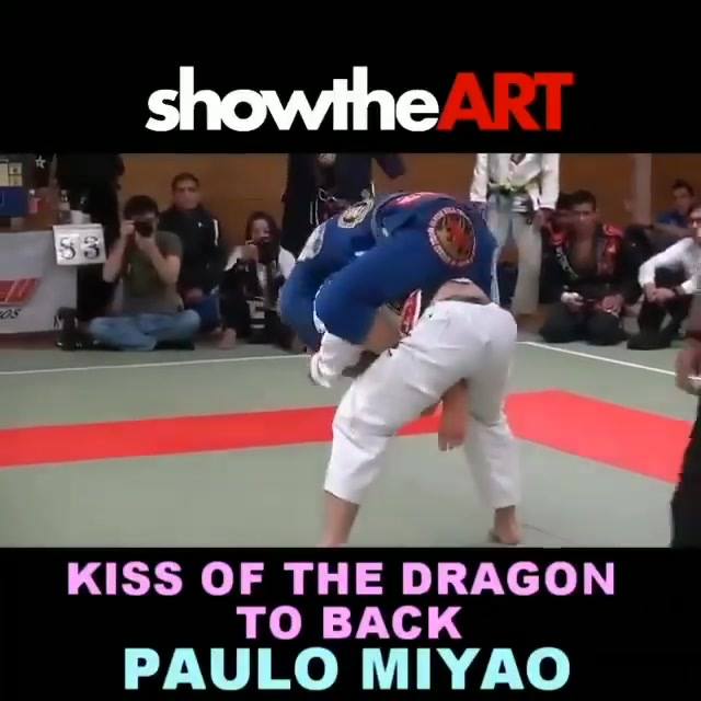 Kiss of the dragon to back by Paulo Miyao