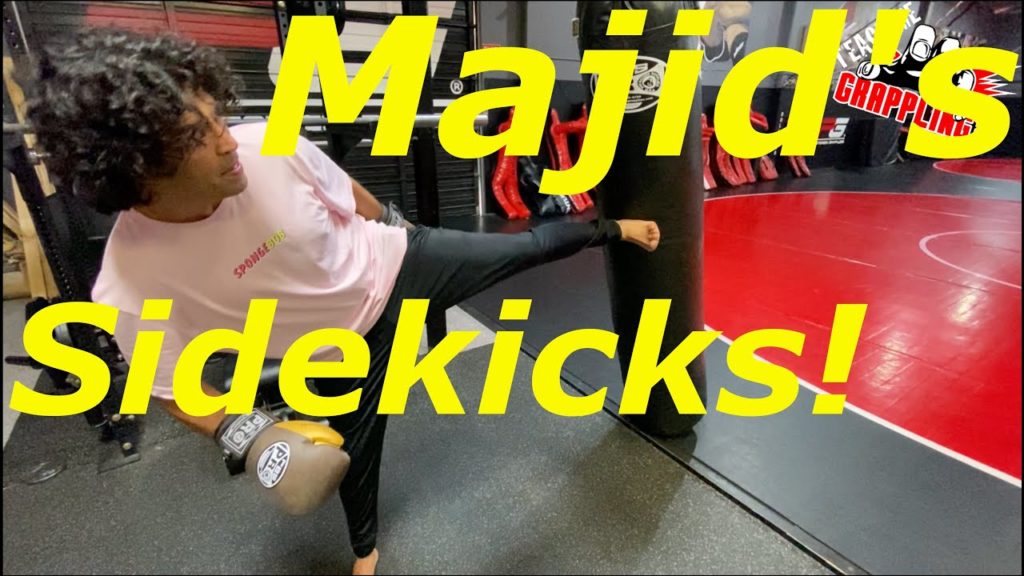 Majid's CRAZY About SIDEKICKS!!