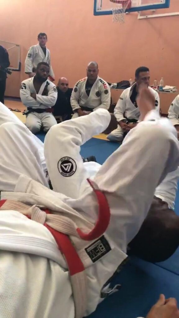 Mauricio Gomes knee on chest attacks