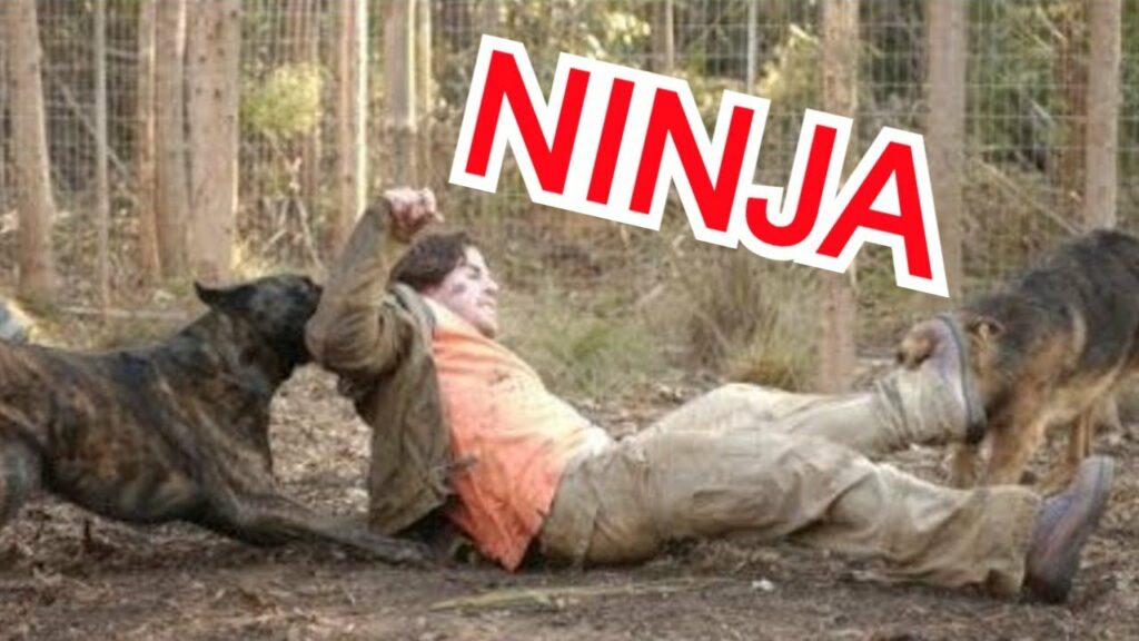 NINJA MODERNO ENFRENTA ATAQUE DE CÃES COM TÉCNICAS MILENARES