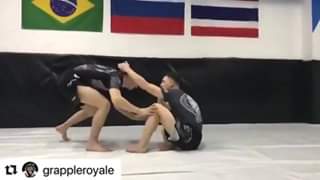 Nice Armbar



Nice Armbar 
Translated from Spanish