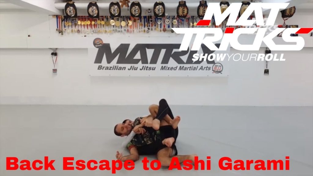 Nice Backmount Escape right into Ashi Garami