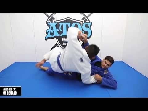 Nova Série: "O Instinto Aranha" - Jonnatas Gracie