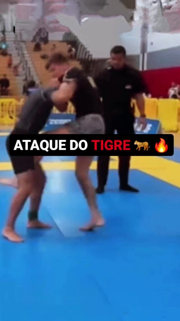 O bote do tigre    -  The tiger's pounce    Video:  DM  Estude Jiu-Jitsu com a