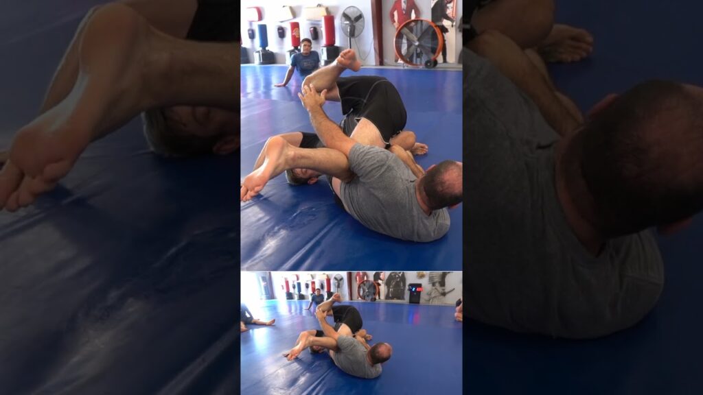 Omoplata vs Triangle Defense #jiujitsu #bjj #martialarts