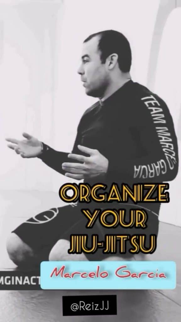 Organize Your Jiu Jitsu by Marcelo Garcia