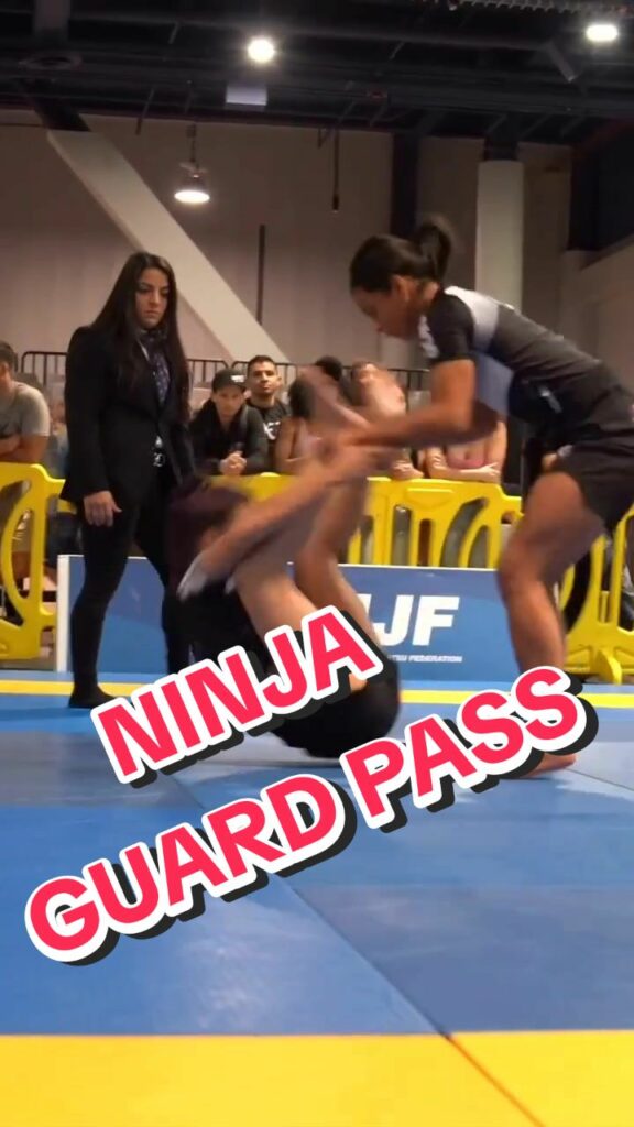 Qual o nome desta passagem ?    -  What is the name of this guard pass ?     .