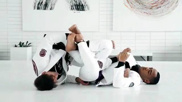 Rafa Mendes - 50/50 concepts