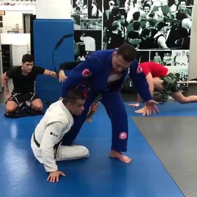 Renzo Gracie - Loop choke