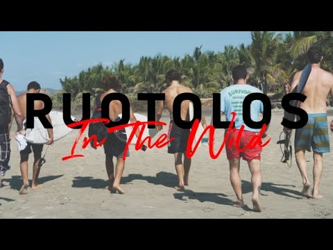 Ruotolos In The Wild | Welcome to Mexico (Ep. 1)