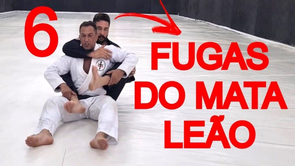 SEIS SAIDAS DO MATA LEÃO  - FEU BJJ