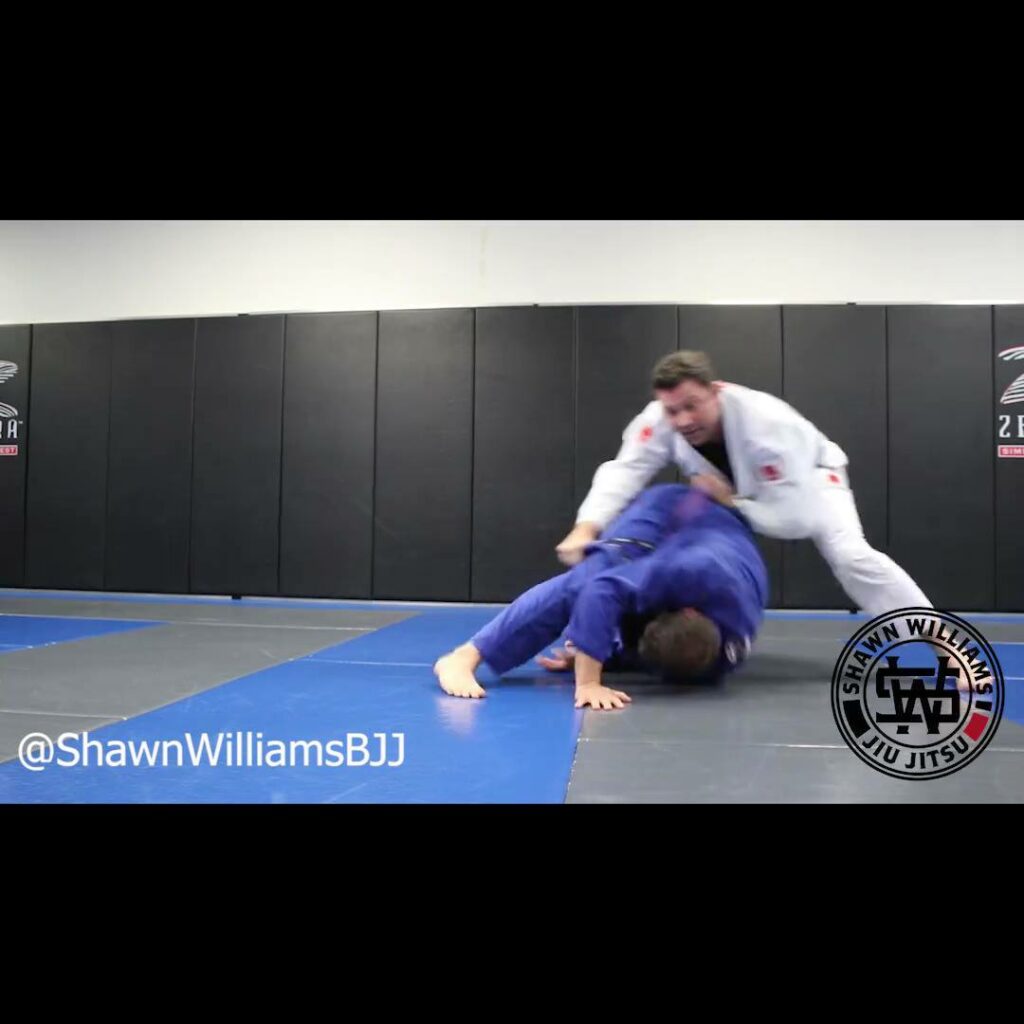 Shawn Williams - Bear Trap Sweep