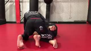 Staple Half Guard Pass